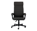 Cadeira Escritório Ergonômica Magnus Conforto Pcyes