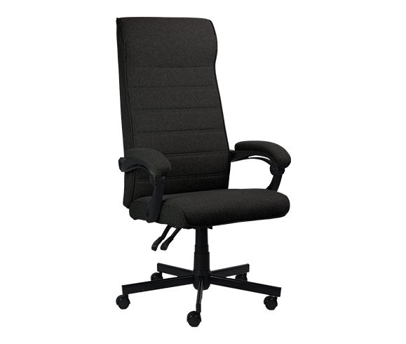 Cadeira Escritório Ergonômica Magnus Conforto Pcyes